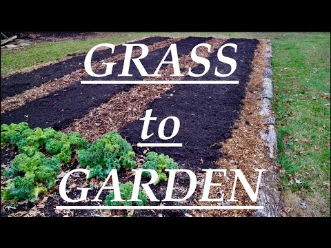 How To Convert Backyard Into Garden