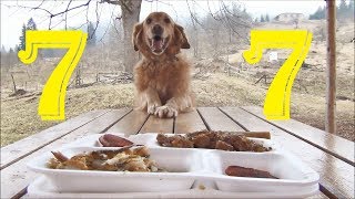 Walter's 7Th Birthday!! A Special Meal For My Boy!