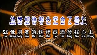 杜海纶 Helen Toh  《 朋友的酒 》  peng you de jiu