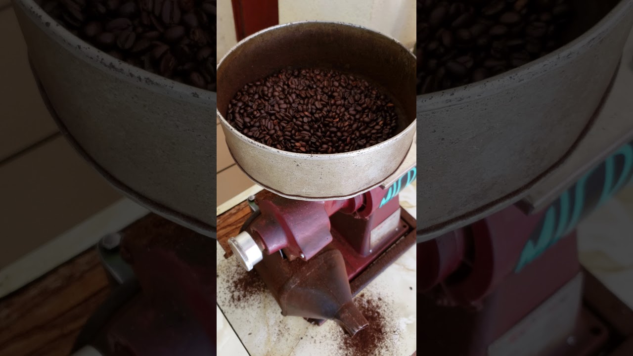 MOLINO DE CAFÉ CAFÉ BATALLA, LA PAZ, B.C.S. YouTube