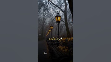 وإذ قال إبراهيم رب ارني كيف تحي الموتي سورة البقرة #قرآن #القرآن_الكريم #المصحف #قرآن_كريم #quran