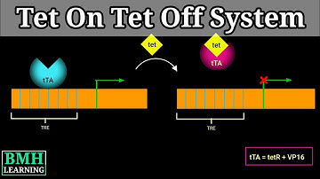 Tet On-Tet Off System |
