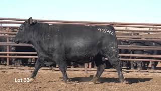 Lot 33 tattoo 4546