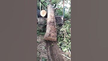 thử tời điện 12v ắc quy 4500lbs