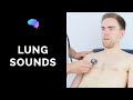 Lung sounds (respiratory auscultation sounds)