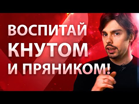 Как заставить ребёнка учиться? Почему мы не продолжаем учиться после вуза?