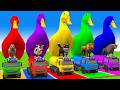 Long Slide Game With Cow Elephant Gorilla Hippopotamus Tiger 3d Animal Game Funny 3d Animals