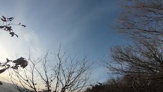 20190109-3