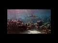 Big Shark of the Day 4k | Coral Gardeners #youtubeshorts #like #fish