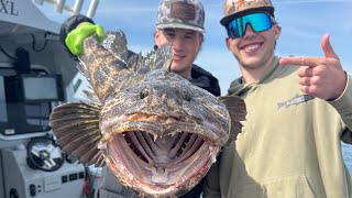 San Juan Island Lingcod (vlog) Storm Swimbaits &amp; Fisherman’s Gold Eels (Greens/Browns)