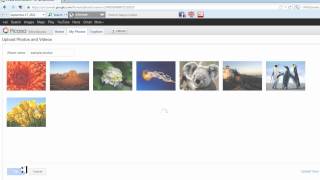 How to Upload to Picasa