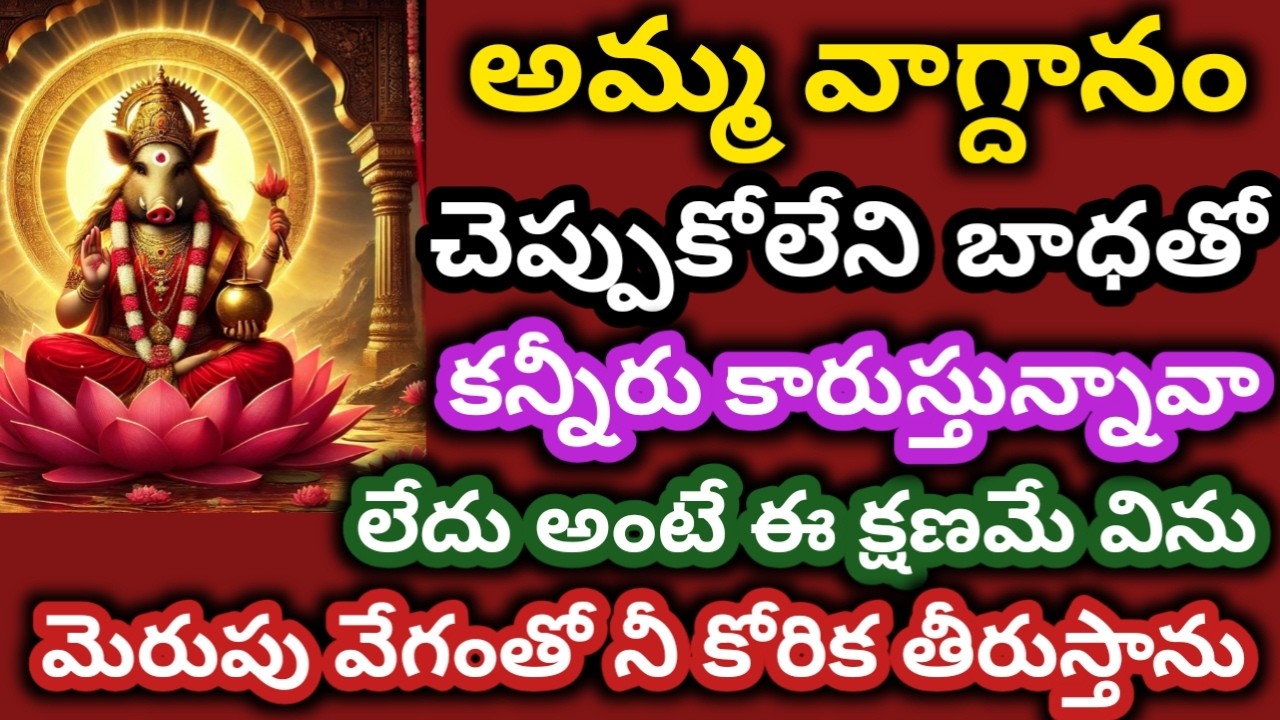 Cచెప్పుకోలేని బాధతో కన్నీరు కారుస్తున్నావా లేదు అంటే ఈ క్షణమే విను బిడ్డా|varahidevi vakku