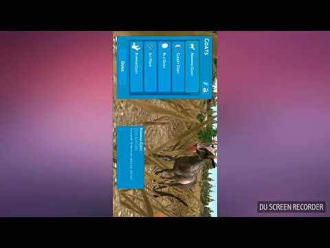 المعزة المجنونه 