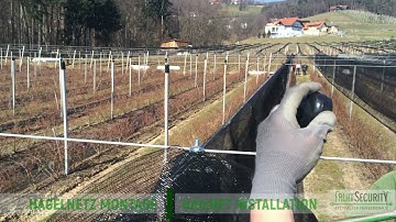FRUIT SECURITY  HAGELNETZ MONTAGE - HAILNET INSTALLATION