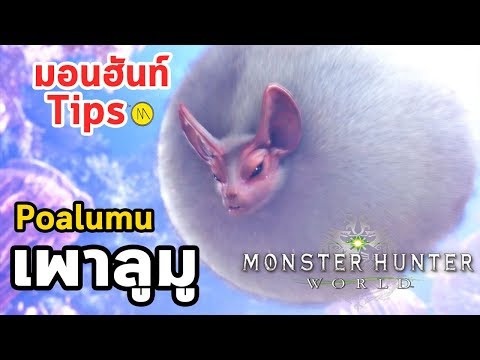 Video: Monster Hunter World - Paolumu Strateegia Ja Paolumu Osad, Et Saada