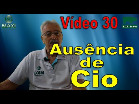 Vídeo: Quando as porcas entram no cio?