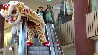 Chinese Lion Dance @Cologne Quincy Shopping Center