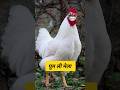 घुम ली मेला #funny #shilpisaroja #thetharpuns #comedy