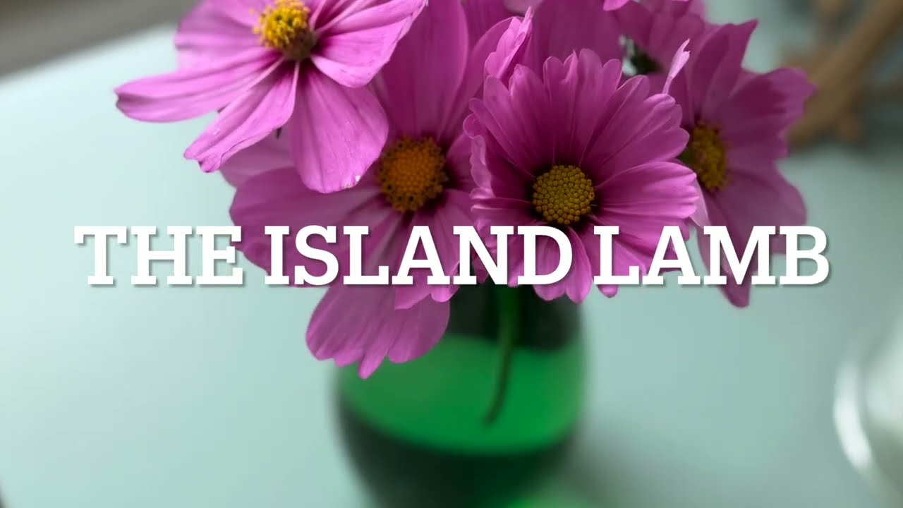 The Island Lamb Episode 52 Joyful June Knitting, Gardening & Cooking!