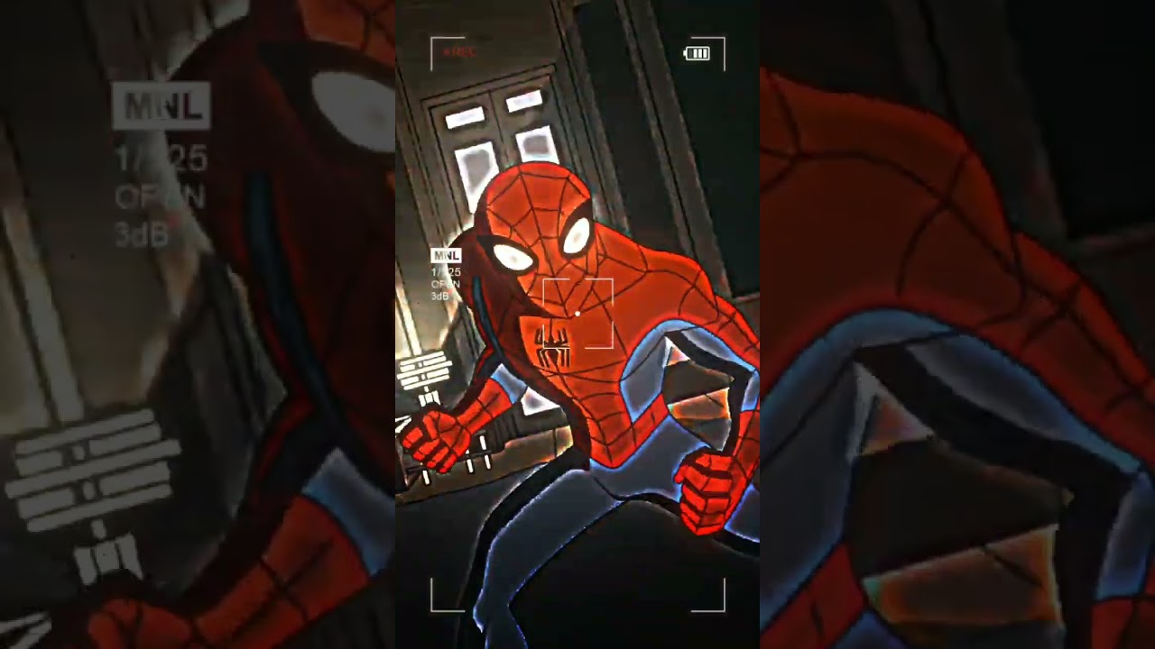 SPECTACULAR SPIDERMAN VS THE BATMAN 2004 