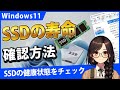 Windows11でSSDの推定寿命を確認する方法、標準機能とCrystalDiskInfo