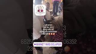 #onion#suppliers#apmc#solapuronion#viral#trending#wholesaler#export#mandi#kanda#viralshort#india