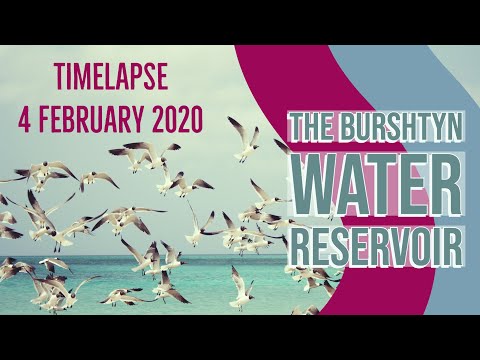 time-lapse.-4-february-2020-bird-watching-for-peace-of-mind-and-better-health