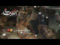 يا عنب يا مشمش حالات واتس حالتي