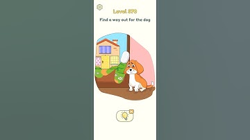 Find a way out for the dog #shorts #dop2