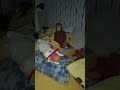 Horror im Schlafzimmer Tanz der Affe