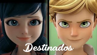 Destinados • One Shot • Litsu Noir