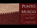 Punto Musgo, Crochet Tunecino