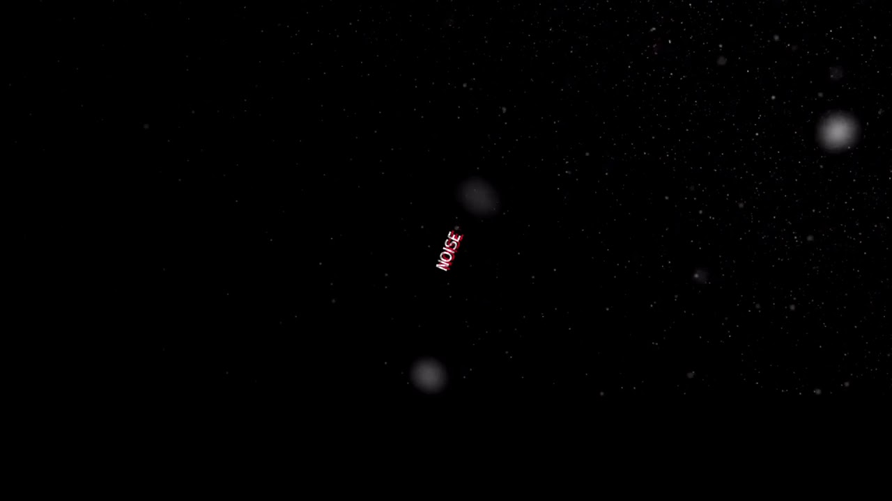 Bird Brain The Revered