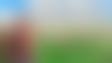 I Covered the Entire Map with Spikes in Rust