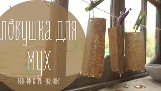 Ловушка для мух своими руками (рукавички)