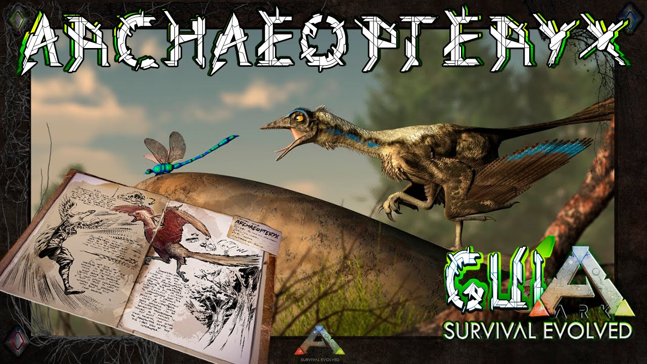 ARK Survival Evolved Dossier ARCHAEOPTERYX YouTube