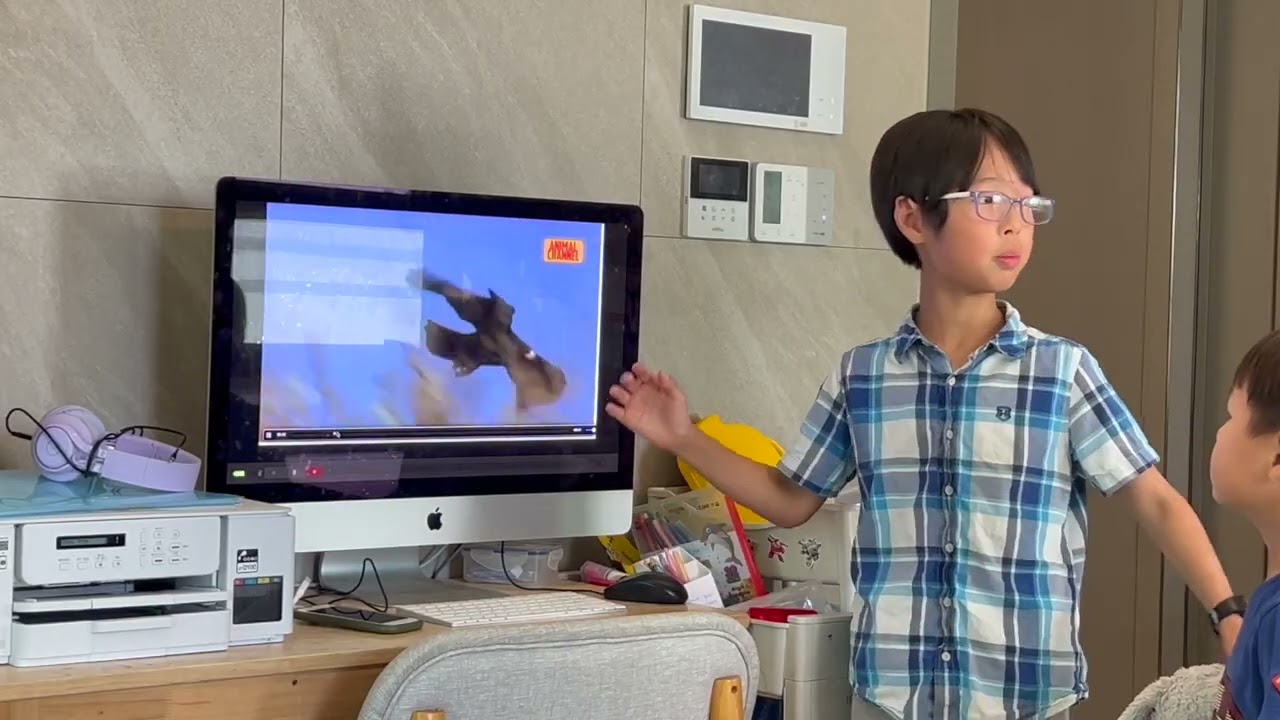 YouTube player