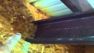 Chicken coop electrical YouTube