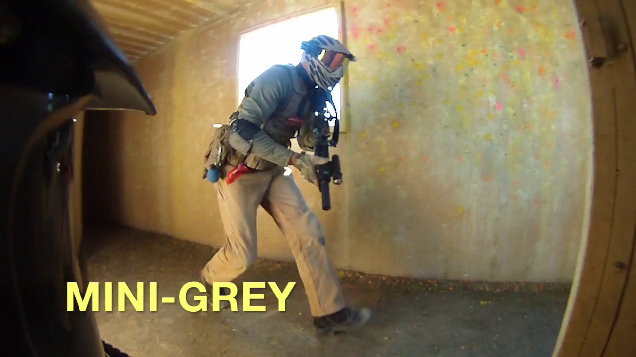 First Mini-Grey Video!!!