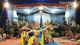 Tari cendrawasih satria laras budaya terbaru dan terindah@Slb wonosroyo