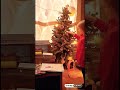 our little Christmas tree this year #lightworker