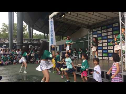 2016.9.18(日)西武チアガール&ちびっこ ダンス