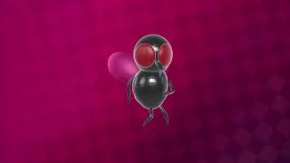 Fly Dancing HD Edition 2024