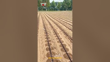 Drip Irrigation System