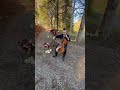 Archibald MacDonald of Keppoch - Scottish Fiddle Tune #Cello #SoloCello #Fiddle #FiddleCello