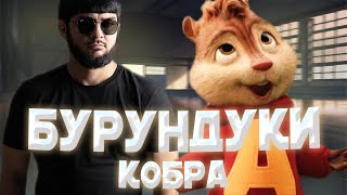 БУРУНДУКИ - Кобра // ИСЛАМ ИТЛЯШЕВ - Кобра