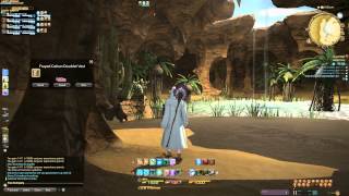 Final Fantasy XIV: A Realm Reborn: Cutter's Cry