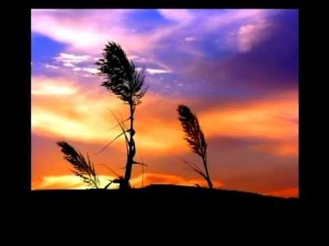 "ANTES DE QUE EL SOL NACIERA" BELLA ALABANZA POR FGO NVO. FCASAVI - YouTube