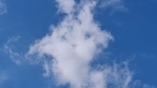 TONS of Black UAP &amp; ORB in SLO MO Message to Congress While I SHOW NHI Spirits &amp; Discuss GOOD BEINGS