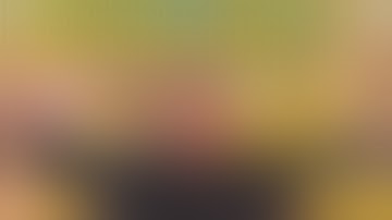 MORE ACTION! MORE WINS, MORE DEGENERACY! THE BEST OF @X7Dave